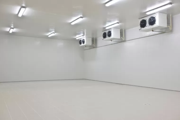 Chambre froide négative, Brignais, LYON FROID CUISINES